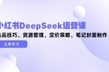 小红书DeepSeek运营课，选品技巧、货源管理、定价策略、笔记封面制作