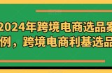 2024年跨境电商选品案例，跨境电商利基选品（更新）