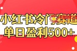 小红书冷门赛道，单日盈利500+【揭秘】