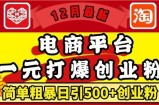 12月最新：电商平台1元打爆创业粉，简单粗暴日引500+精准创业粉，轻松月入过W【揭秘】