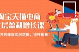 淘宝天猫电商七层盈利增长课：月入N万的爆款底层逻辑，提升销量！