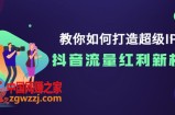 教你如何打造超级IP，抖音流量红利新机遇！