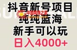 抖音蓝海赛道，必须是新账号，日入4000+【揭秘】