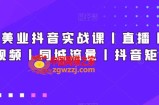 新美业抖音实战课丨直播丨短视频丨同城流量丨抖音矩阵