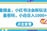 流量掘金，小红书注会新玩法，流量密码，小白日入1000+【揭秘】