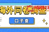海外问卷调查口子查项目，认真做单机一天200+
