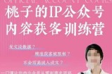 桃子IP公众号内容获客训练营(第3期)，一门让你公众号从0到商业闭环的课程