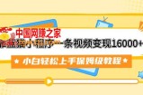 （7595期）靠布偶猫微信小程序一条视频变现16000 新手快速上手家庭保姆级实例教程（附166G材料素材内容）