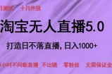 淘宝无人直播5.0，打造日不落直播，24小时不间断直播 不出镜 零粉丝 无需保证金