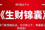 明灯副业千计—《生财锦囊》第46计：冷门新思路玩法，分分钟上千，零基础小白最适合的项目！【视频课程】