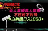 抖音24小时无人直播音乐，不违规，不封号纯撸音浪，小白实操当天日入1000+【揭秘】