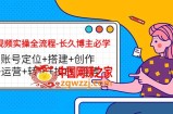 短视频实操全流程-长久博主必学：账号定位+搭建+创作+运营+转化+投放 等等