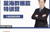 无招店群·蓝海群爆款特训营(10月新课)低成本起店+小爆款打造+群爆款维护