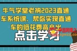 牛气学堂老衲2023直通车系统课，帮你实现直通车的低花费高产出