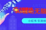 AI辅助无脑搬运小红薯爆款笔记矩阵操作无限引流创业粉【揭秘】