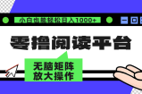 （12710期）零撸阅读平台 解放双手、实现躺赚收益 矩阵操作日入3000+