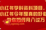 小红书学科资料项目，小红书今年是真的好做，教你如何月入过万【揭秘】