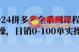 2024拼多多全系列课程实操，日销0-100单实操【必看】