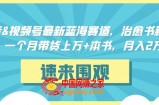 抖音视频号最新蓝海赛道，治愈书籍带货，一个月带货上万+本书，月入2万＋【揭秘】
