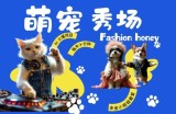 酷飒动物跳舞走秀，时尚喵FASHION汪， 多金小姐姐最爱的，轻松月入破W【揭秘】