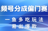 视频号创作者分成计划偏门类目，容易爆流，实拍内容简单易做