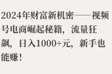 2024年财富新机密——视频号电商崛起秘籍，流量狂飙，日入1k元，新手也能赚