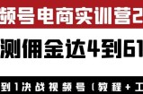 外面收费1900花爷×Alan×figo视频号电商实训营2.0：实测佣金达4到61万（教程+工具）