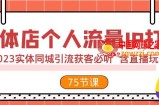 （7934期）实体店个人流量IP打造 2023实体同城引流获客必听 含直播玩法（75节完整版）