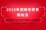 2025年视频号带货新玩法：AI炮制百分百原创爆款，稳起号，T+1结算实现月入过万
