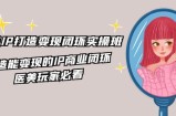 医疗美容IP打造出转现闭环控制实际操作班，打造出能快速变现IP商业闭环，医疗美容游戏玩家必读（22节）