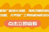 淘系运营推广标准化流程，​淘系改版后新品布局全流程，无界推广工具拆解高阶玩法