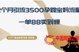 十万个富翁修炼宝典之13.2个月引流3500孕婴宝妈流量，一单88卖到爆