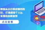 手把手教你从小白变成赚钱的创业博主，打造超级个人ip，实现自由职业梦