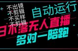 日不落无人直播、让你赚到手软，不出镜 不剪辑 不囤货  不买样日赚1000