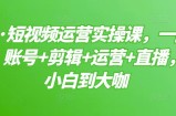 晨哥·短视频运营实操课，一部手机，账号+剪辑+运营+直播，从小白到大咖