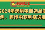 2024年跨境电商选品案例，跨境电商利基选品