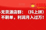拼多多无货源店群：（抖上拼）不推广不刷单，利润月入过万！【揭秘】