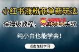小红书涨粉商单新玩法，保姆级教程，商单接到手软，纯小白也能学会【揭秘】