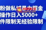 负债粉私域暴力掘金，小白操作入5000，无经验限制，无条件限制【揭秘】