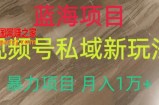 蓝海项目，视频号私域新玩法，暴力项目月入1万+【揭秘】
