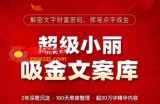超级小丽·吸金文案库，解密文字财富密码，挥笔点字成金，超30万字精华内容