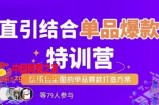 直引结合单品爆款特训营，系统且全面的淘宝单品爆款打造方案