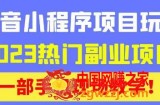 抖音小程序9.0新技巧，2023热门副业项目，动动手指轻松变现
