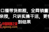 抖音口播带货教程，全网销量百万大V亲授，只讲实操干活，更快拿到结果
