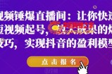短视频锤爆直播间：让你快速学会短视频起号，放大成果的爆量技巧，实现抖音的盈利模型