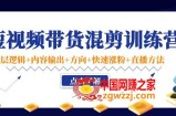 短视频带货混剪训练营：底层逻辑+内容输出+方向+快速涨粉+直播方法！