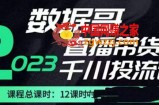 数据哥2023直播电商巨量千川付费投流实操课，快速掌握直播带货运营投放策略