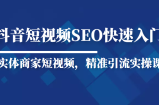 抖音短视频Seo搜索排名优化新手快速入门教程，实体商家短视频，精准引流实操课