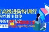 PPT高级进阶特训营：百万粉丝博主教你进阶你的PPT技能(98节课程+PPT素材包)