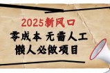 2025新风口，懒人必做项目，浏览器全自动掘金【揭秘】